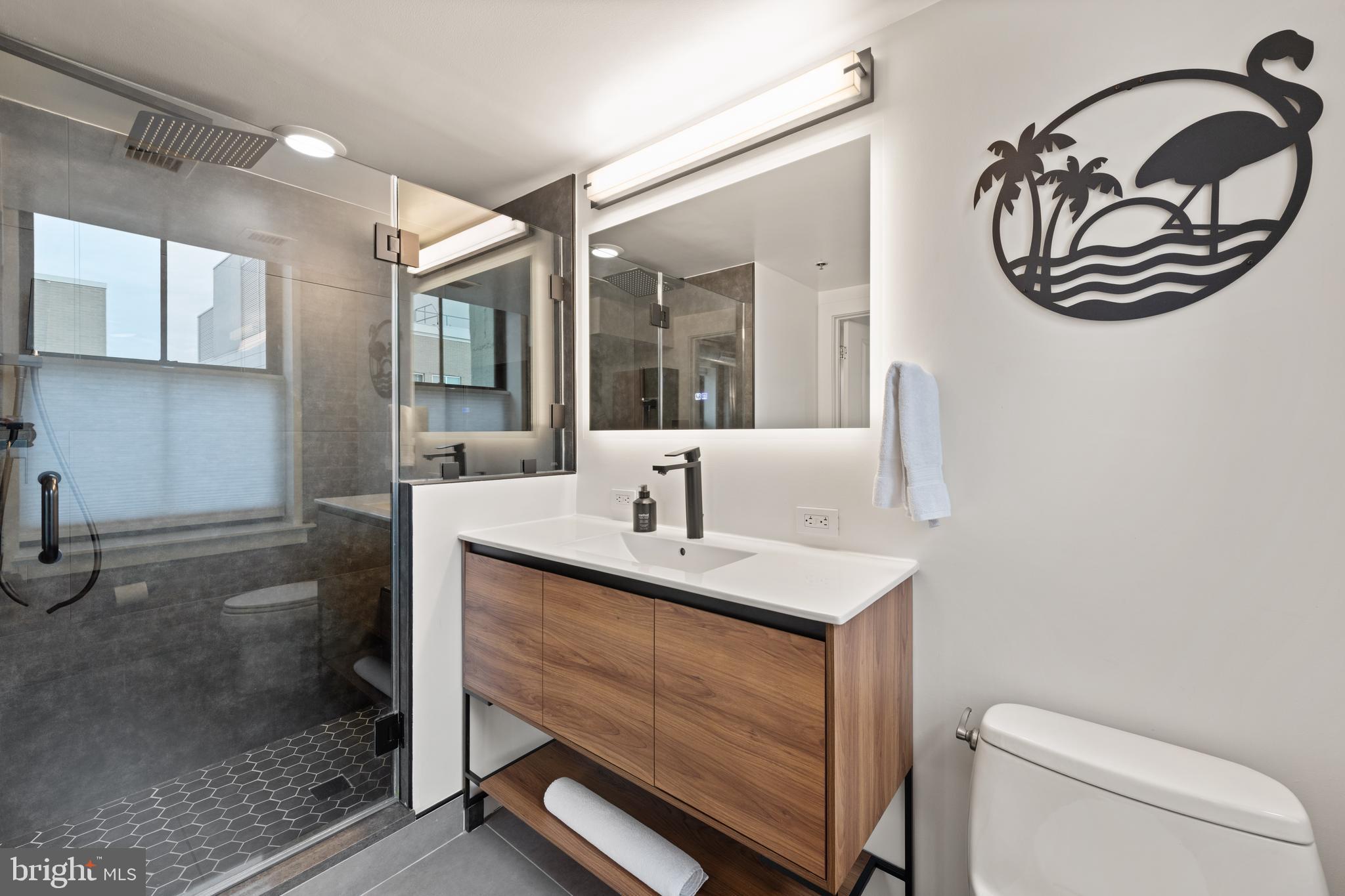 916 G St. Northwest, Unit 903 Washington, DC 20001 - Photo 24 of 65 a bathroom with a sink and a mirror