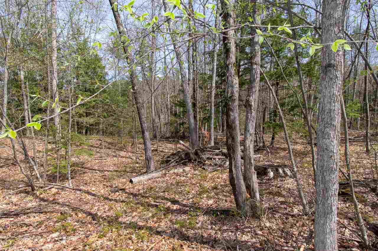182 Gorham Pond Road Goffstown, NH 03045 - Photo 6 of 10 Gallery Image 6