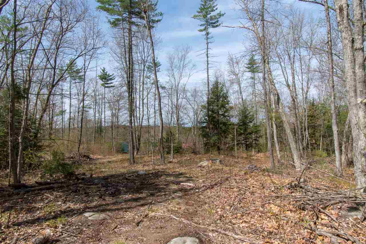 182 Gorham Pond Road Goffstown, NH 03045 - Photo 7 of 10 Gallery Image 7