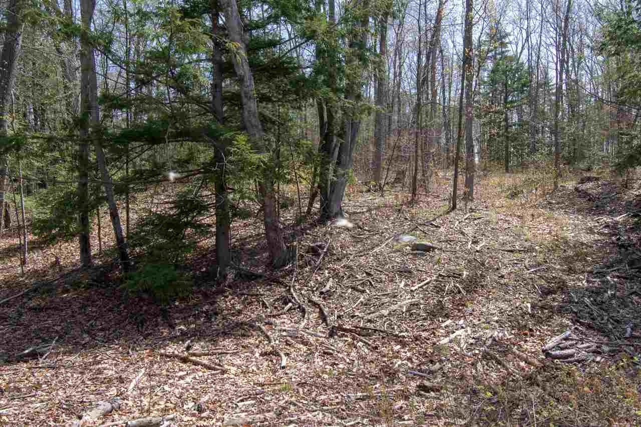 182 Gorham Pond Road Goffstown, NH 03045 - Photo 9 of 10 Gallery Image 9