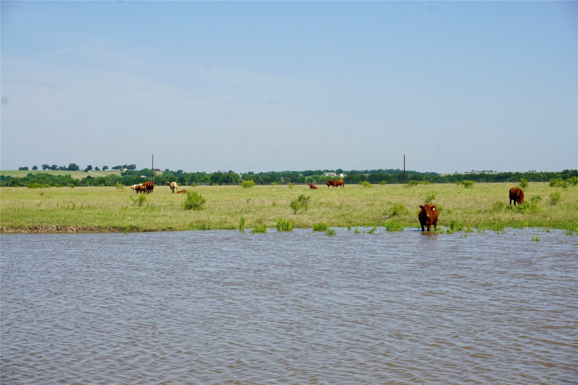 a view of an ocean beach