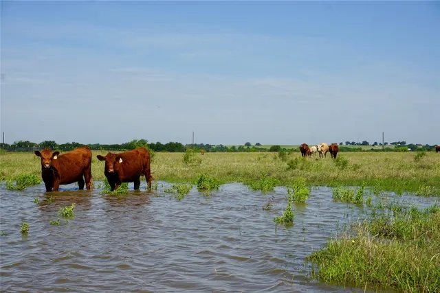 a view of a lake with an outdoor space