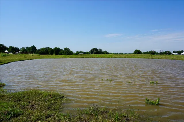 a view of a lake from a yard