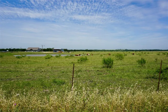 a view of a plant in a garden