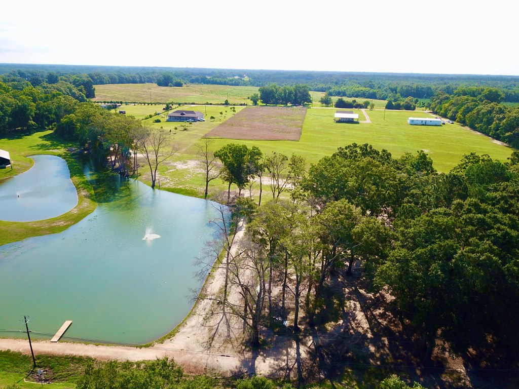 103 Slocomb Al Slocomb, AL 36375 - Photo 29 of 63