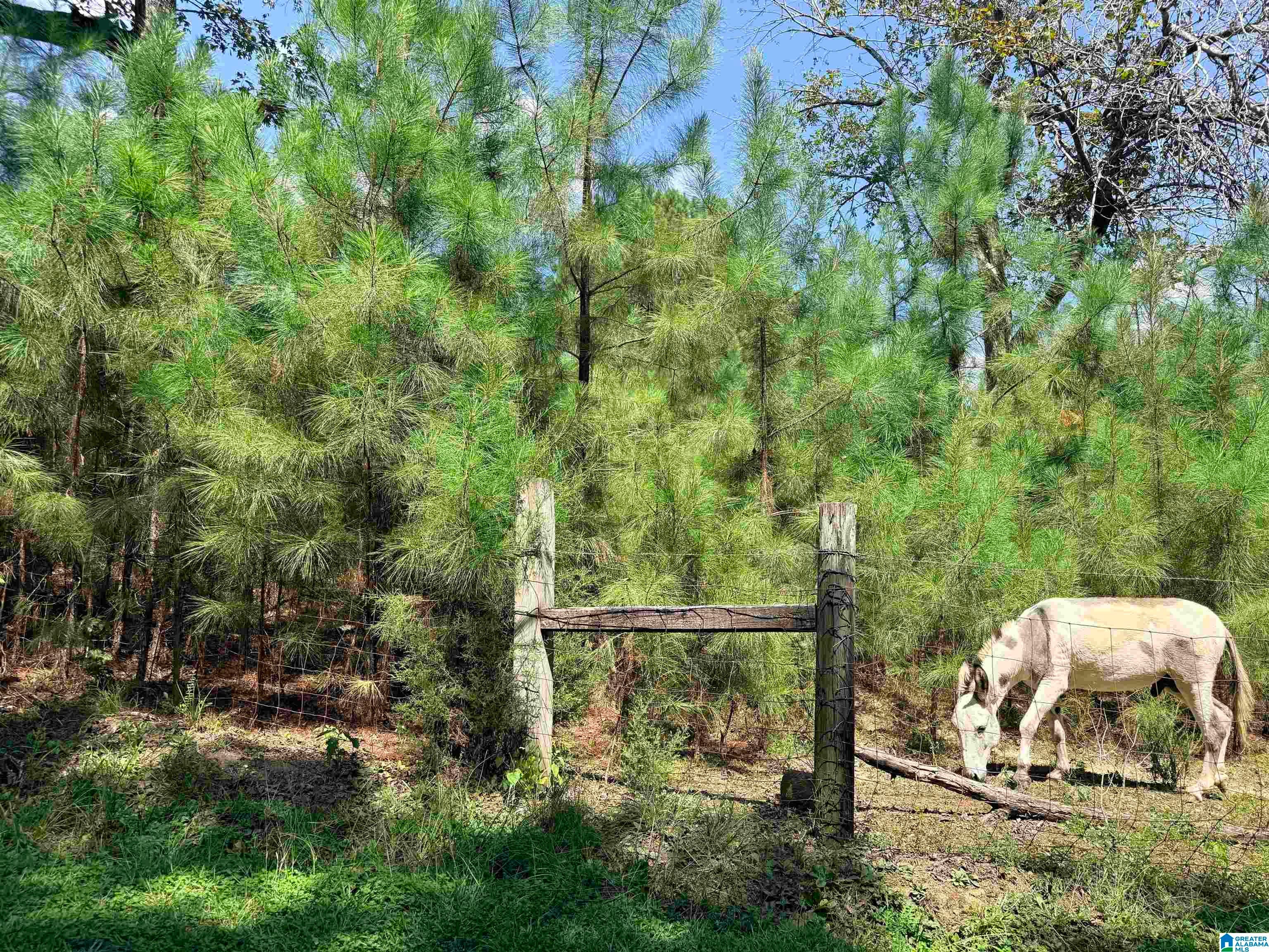 0 Rockyview Road West Blocton, AL 35184 - Photo 23 of 23 Gallery Image 23