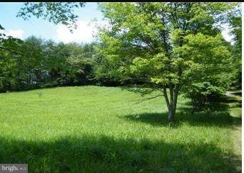 612 Cropp Road Fredericksburg, VA 22406 - Photo 3 of 9 View