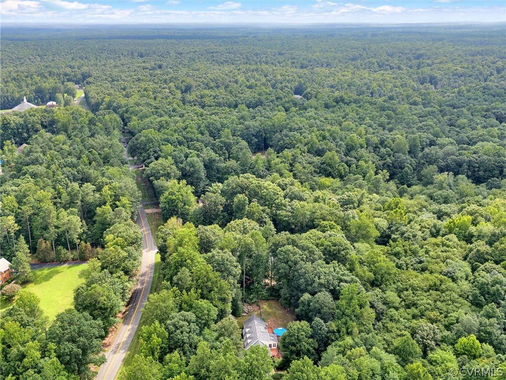 12100 2nd Branch Road Chesterfield, VA 23838 - Photo 38 of 41 an aerial view of residential houses with outdoor space and trees