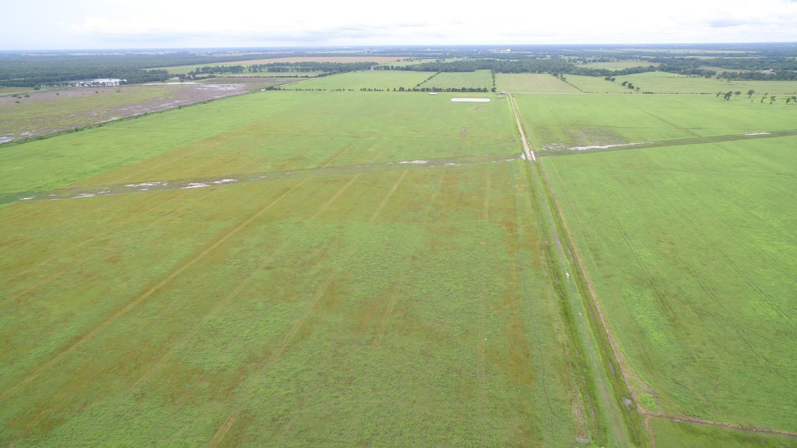 4950 Donaldson Road Wharton, TX 77488 - Photo 12 of 17 improved pasture