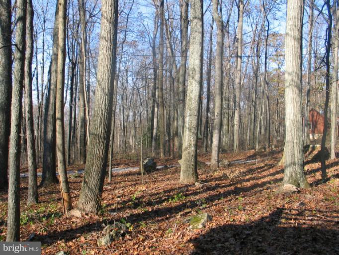 30 Old Log Road Linden, VA 22642 - Photo 20 of 26 View