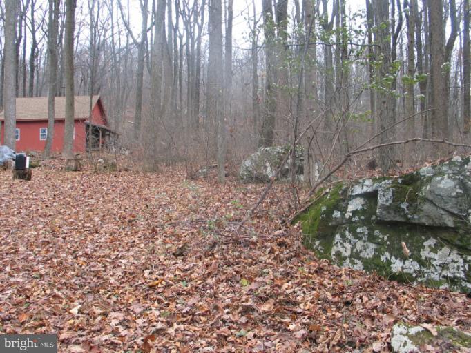 30 Old Log Road Linden, VA 22642 - Photo 23 of 26 View