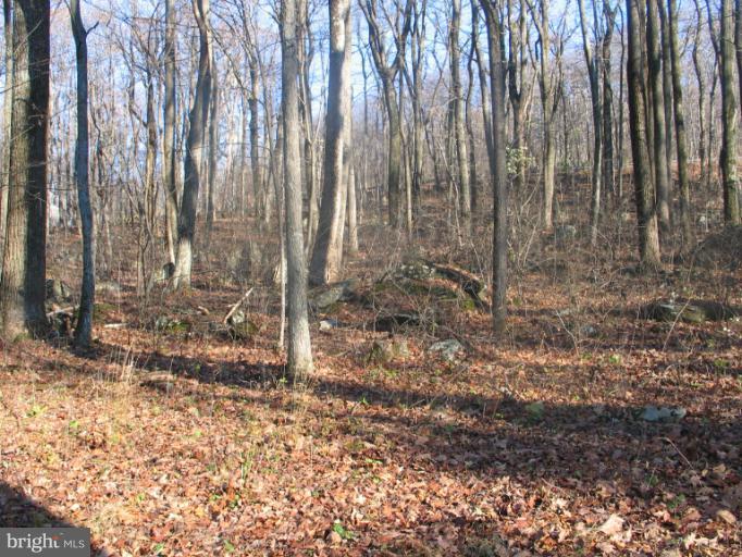 30 Old Log Road Linden, VA 22642 - Photo 26 of 26 View