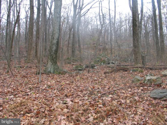 30 Old Log Road Linden, VA 22642 - Photo 9 of 26 View