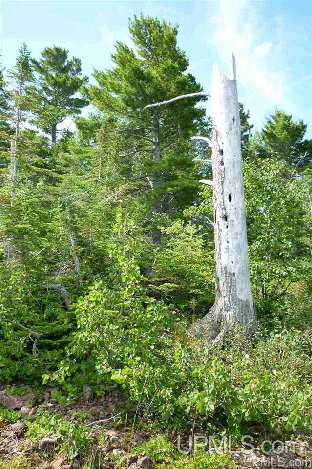 15-16 Horizon Road Copper Harbor, MI 49918 - Photo 7 of 9