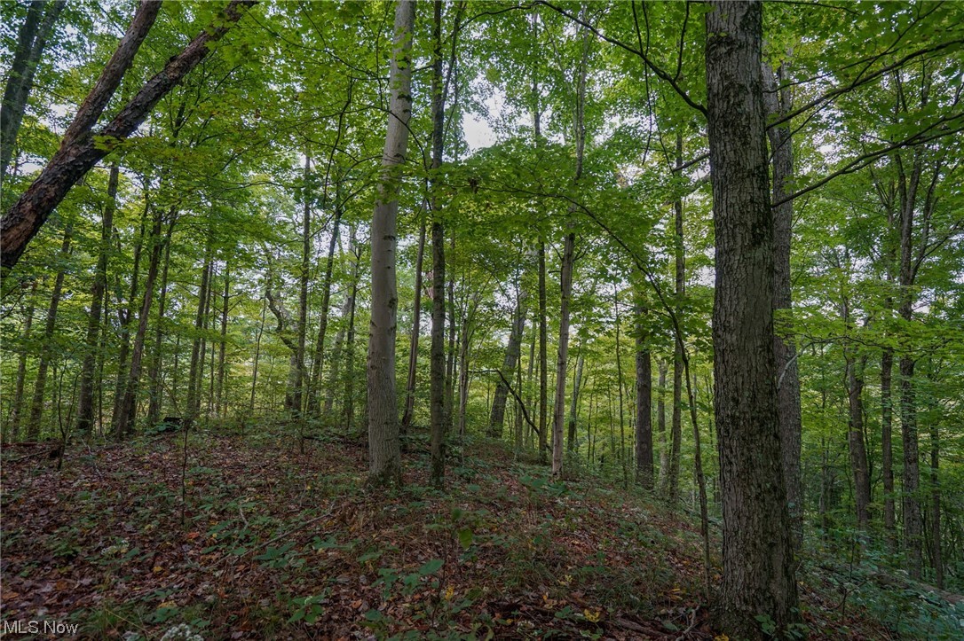 0 Reed Marietta, OH 45750 - Photo 27 of 35 View of local wilderness