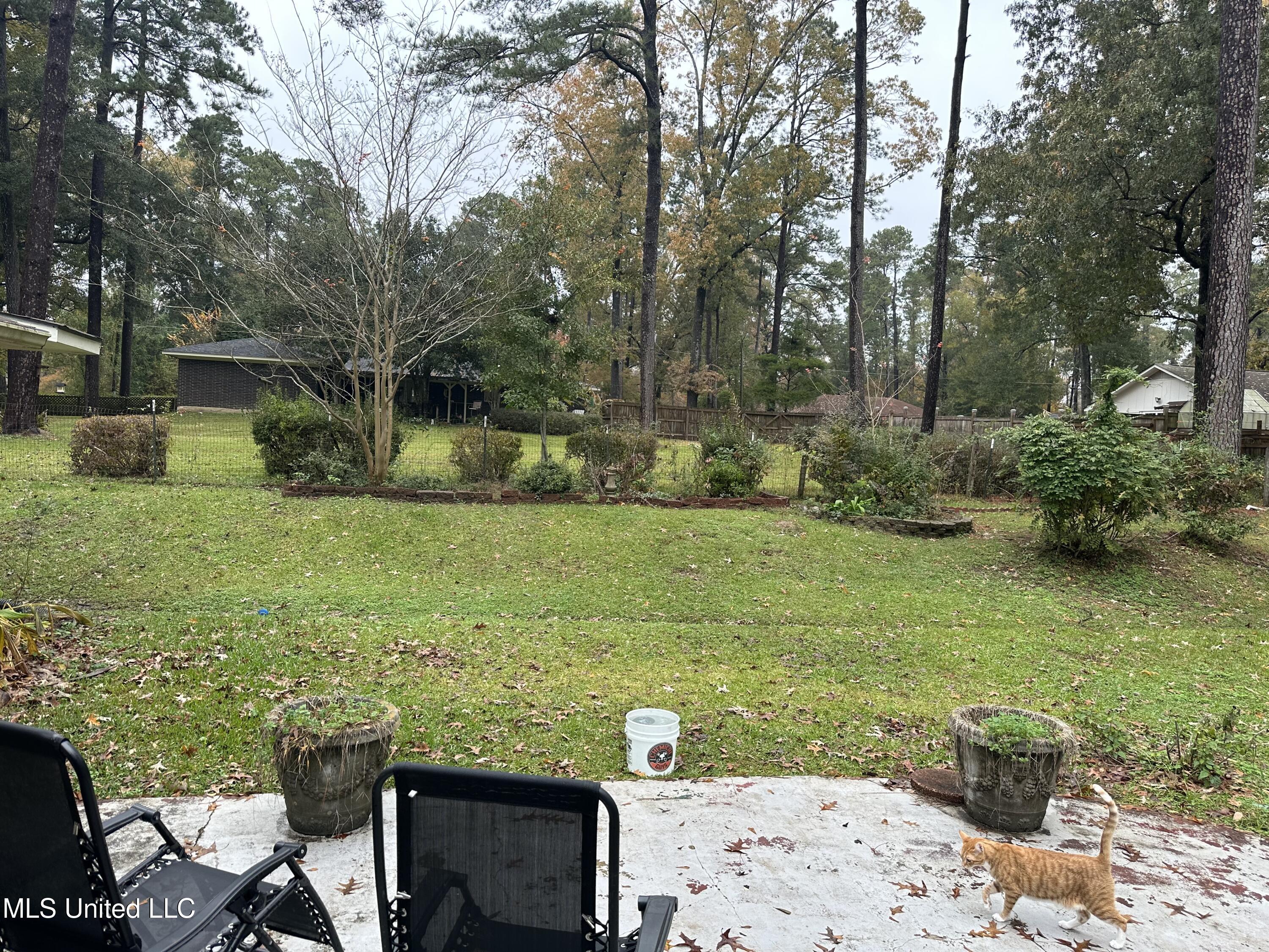 54 Melanie Road Natchez, MS 39120 - Photo 32 of 35 IMG_1133