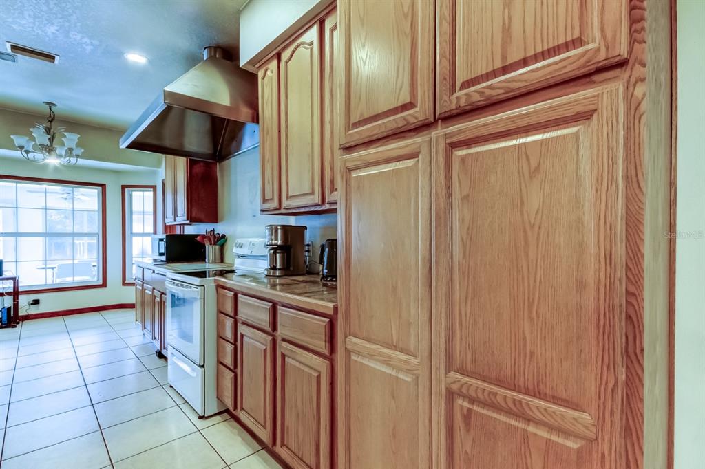 6101 South Nutshell Terrace Lecanto, FL 34461 - Photo 21 of 66