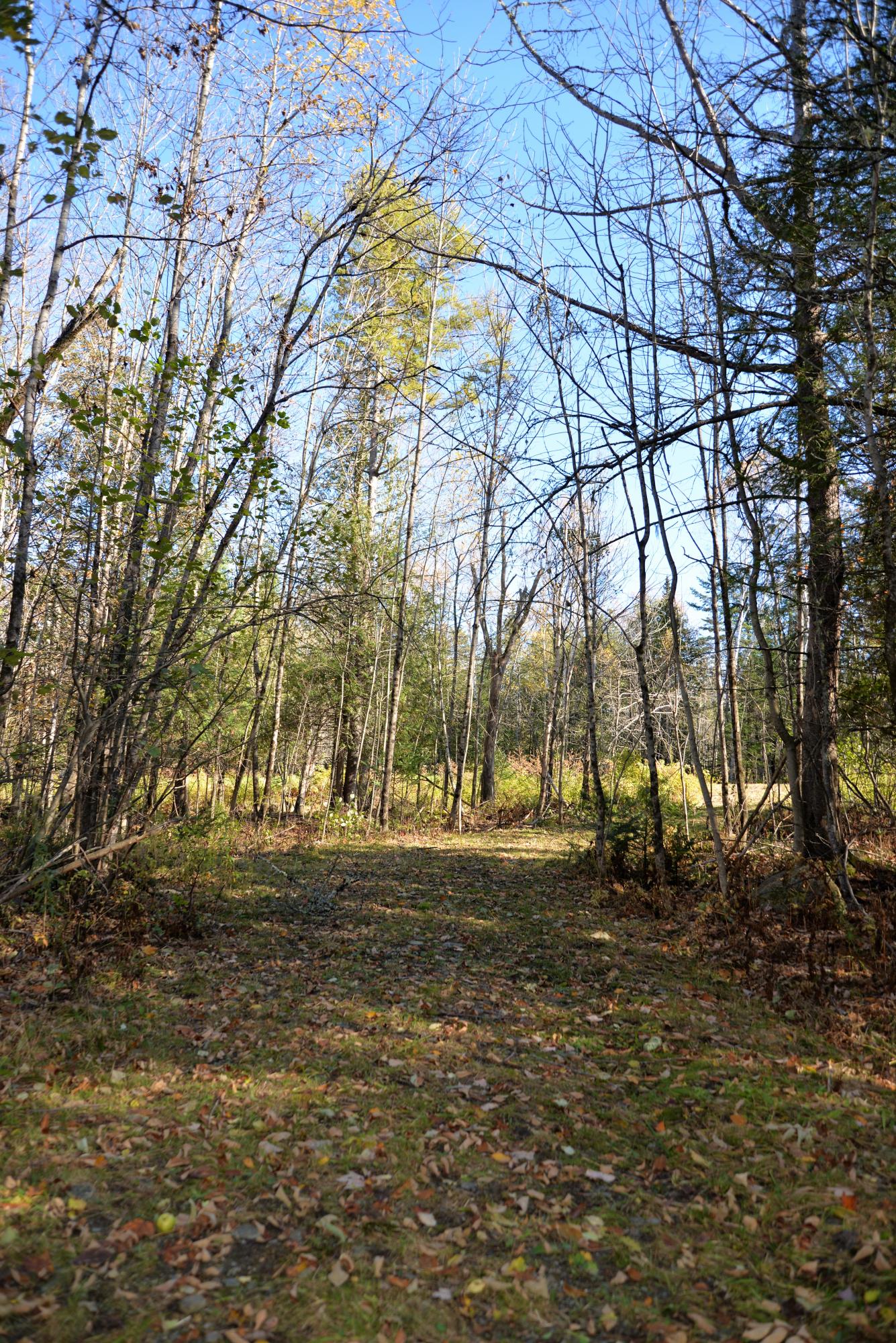 Lot 1 A Old Ripley Road Ripley, ME 04930 - Photo 3 of 11 New Photo Add 2