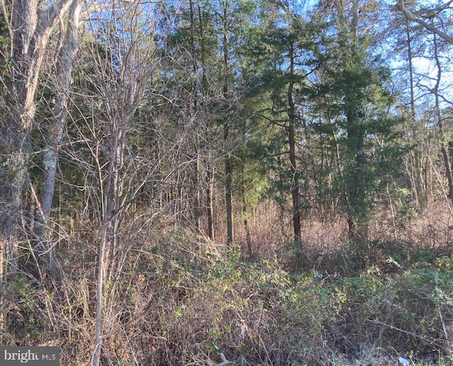 0 Sharp Road Williamstown, NJ 08094 - Photo 2 of 2