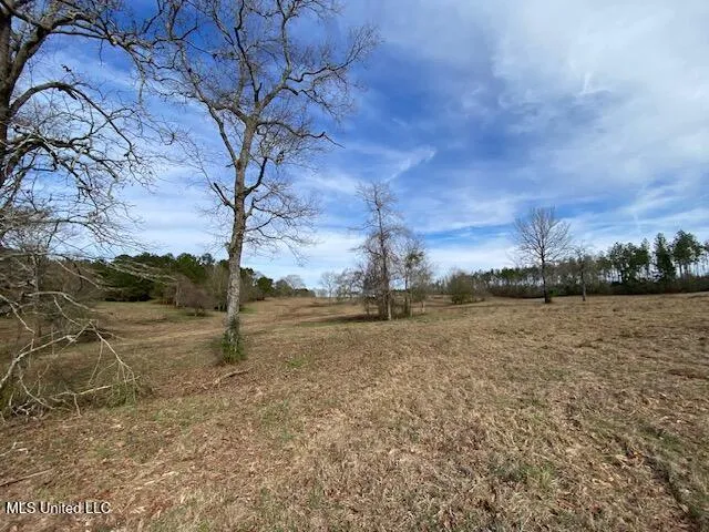$192,500 | 3010 Union Church Road, Magnolia, MS 39652