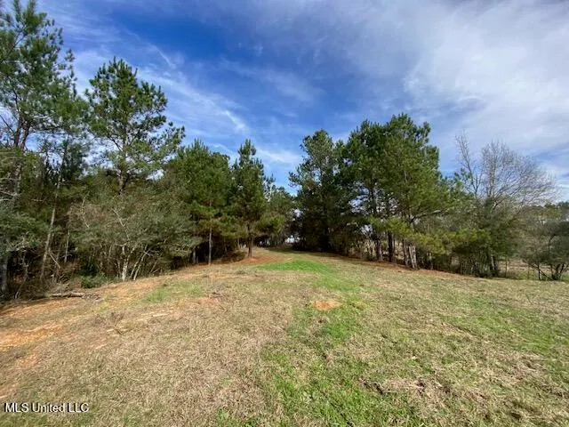 $192,500 | 3010 Union Church Road, Magnolia, MS 39652