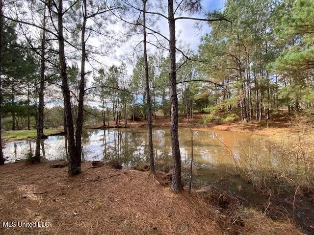 $192,500 | 3010 Union Church Road, Magnolia, MS 39652