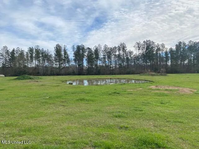 $192,500 | 3010 Union Church Road, Magnolia, MS 39652