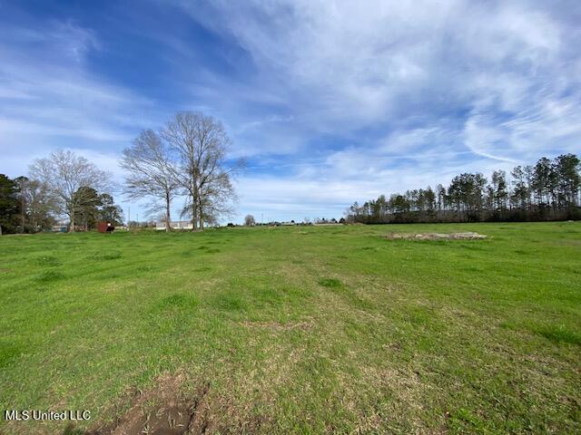 3010 Union Church Road Magnolia, MS 39652 - Photo 7 of 13 IMG_8379 (1)