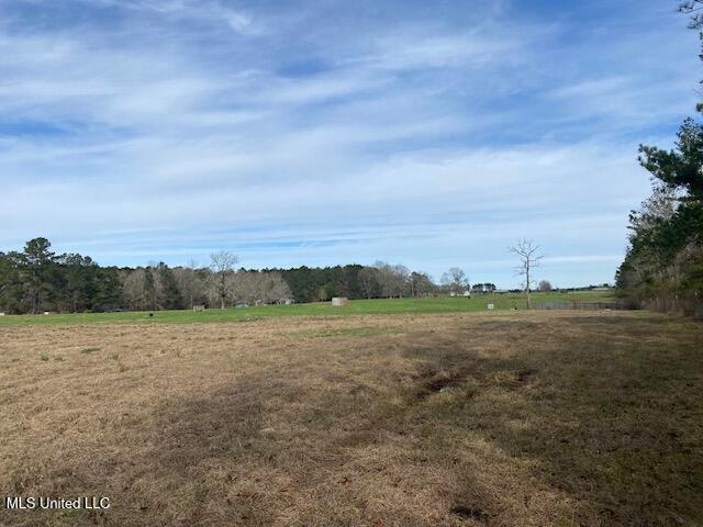 3010 Union Church Road Magnolia, MS 39652 - Photo 10 of 13 IMG_8382 (1)