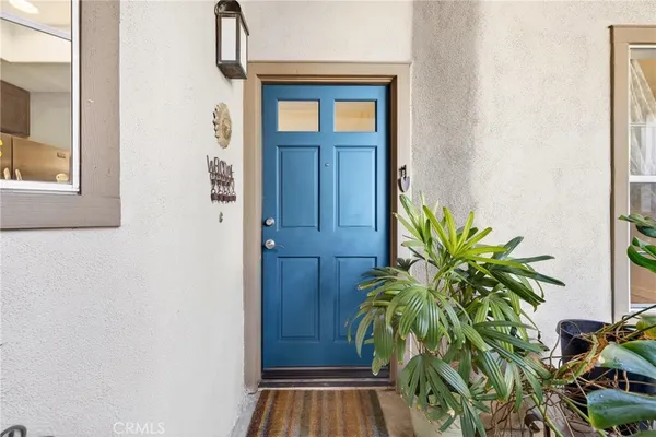 a view of front door with potted plant