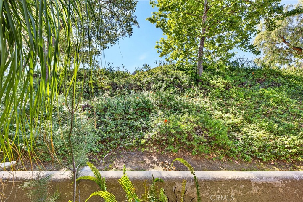 96 Abrigo Rancho Santa Margarita, CA 92688 - Photo 25 of 39
