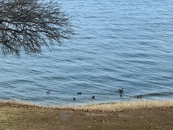 $345,000 | 9961 Waterfront Trail, Unit 9961, Rowlett, TX 75087