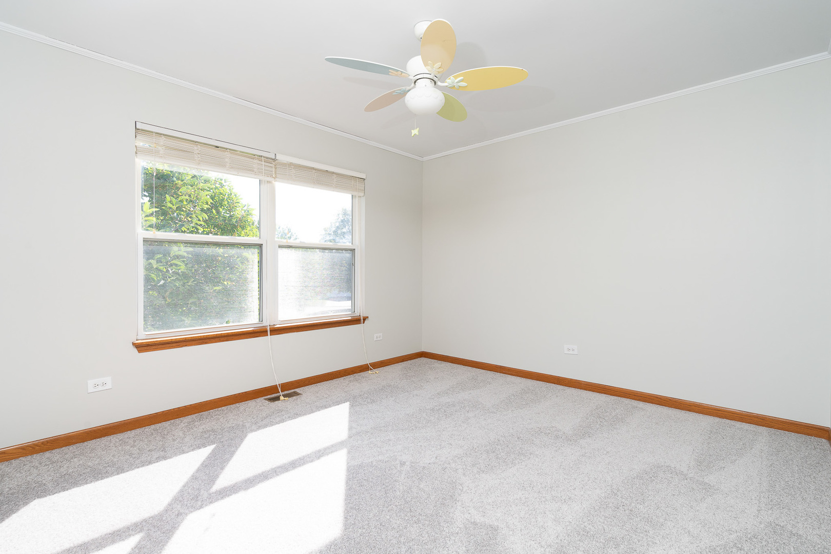 1798 Pebblestone Drive Romeoville, IL 60446 - Photo 20 of 33 Gallery Image 20