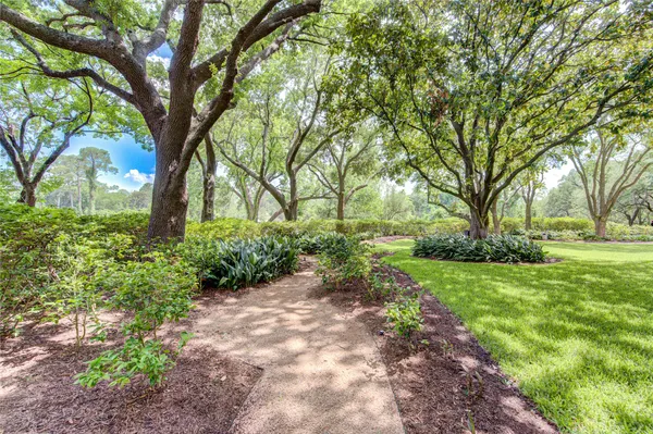 a view of backyard with large trees