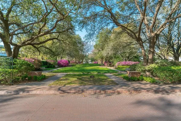 a view of a park with plants and trees