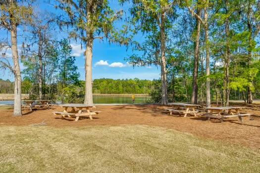 164 Ashley Bluffs Road Summerville, SC 29485 - Photo 49 of 57 IMG_6191