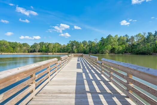 164 Ashley Bluffs Road Summerville, SC 29485 - Photo 50 of 57 IMG_6195