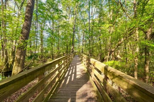 164 Ashley Bluffs Road Summerville, SC 29485 - Photo 54 of 57 IMG_6194