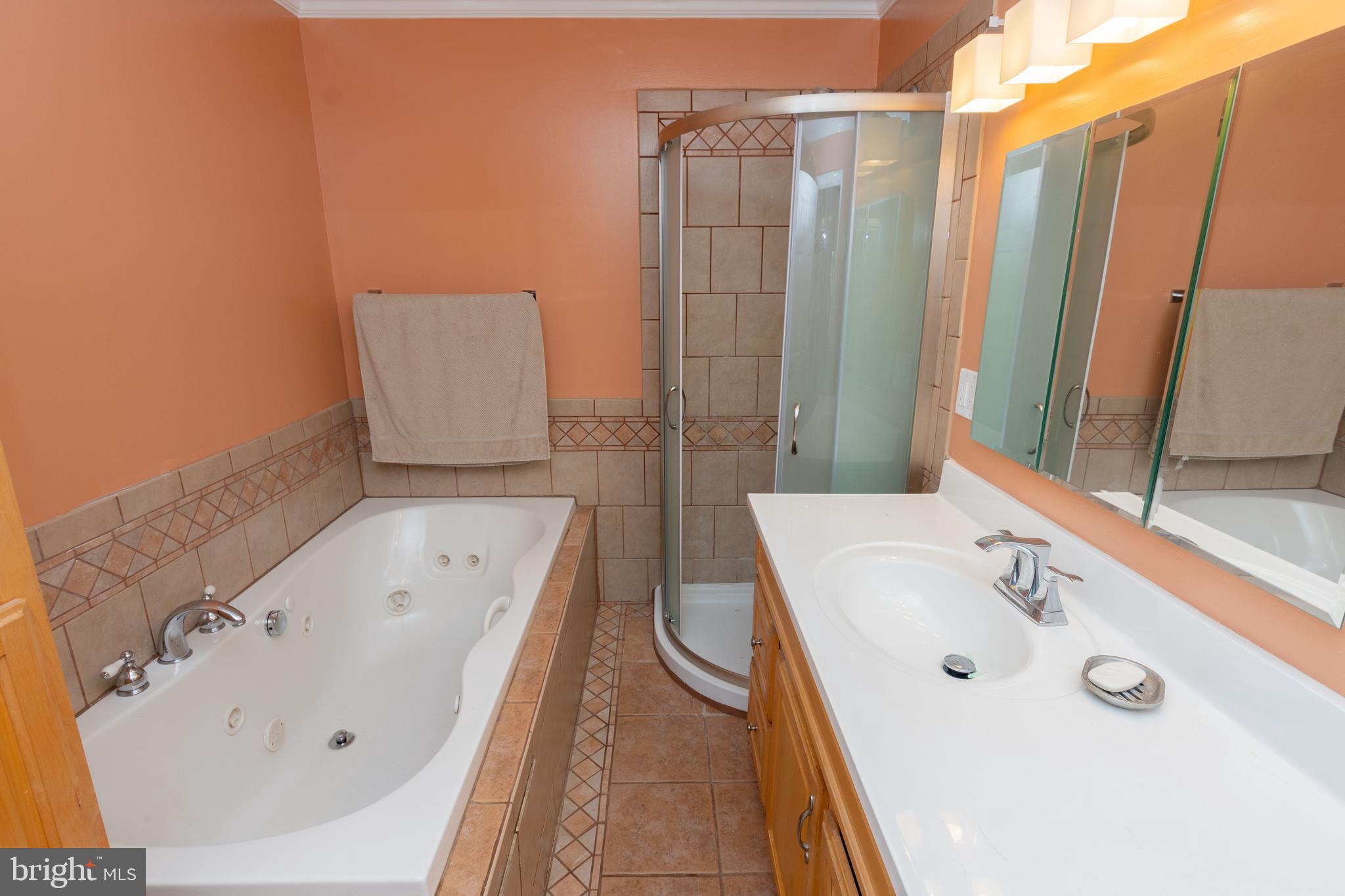 6414 Kenwood Avenue Rosedale, MD 21237 - Photo 21 of 60 a bathroom with a tub sink and mirror