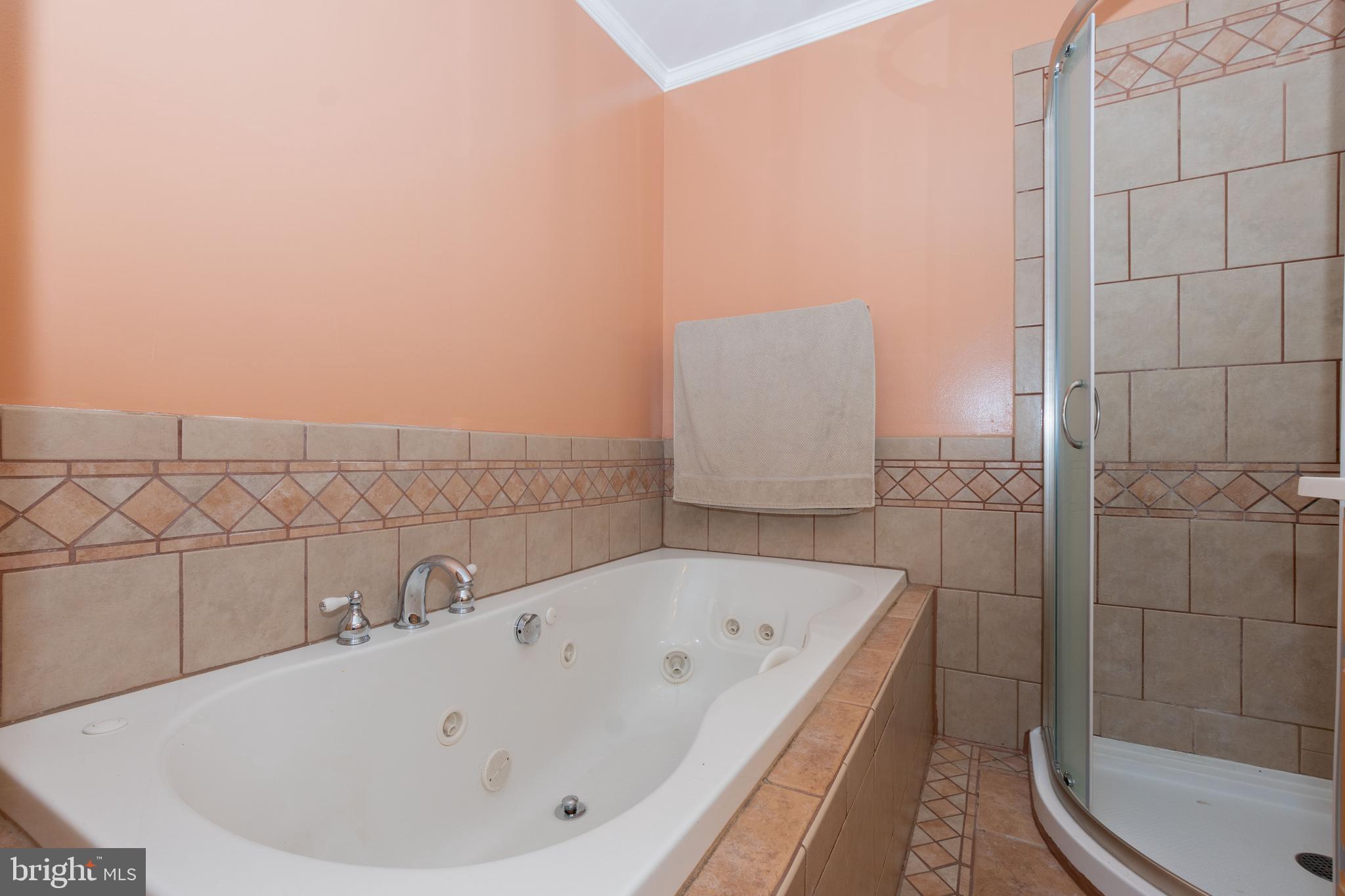 6414 Kenwood Avenue Rosedale, MD 21237 - Photo 23 of 60 a bathroom with a bathtub and shower