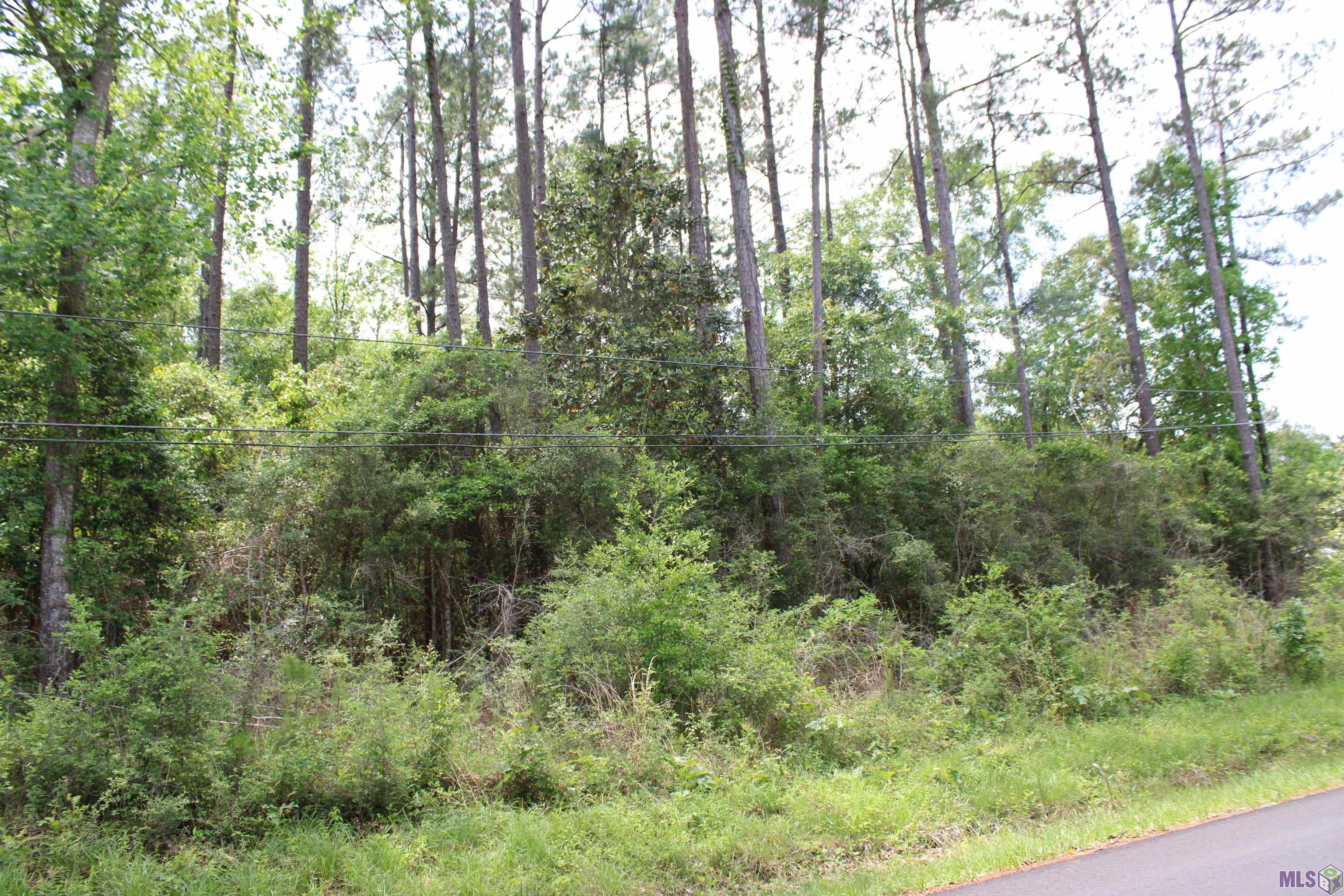 Tbd Pinewood Road Bogalusa, LA 70427 - Photo 3 of 20