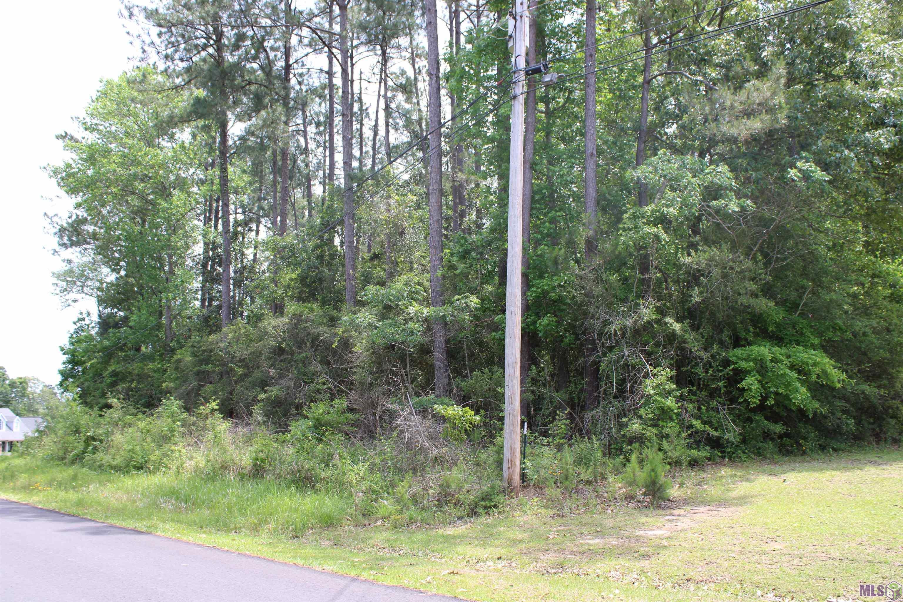 Tbd Pinewood Road Bogalusa, LA 70427 - Photo 4 of 20