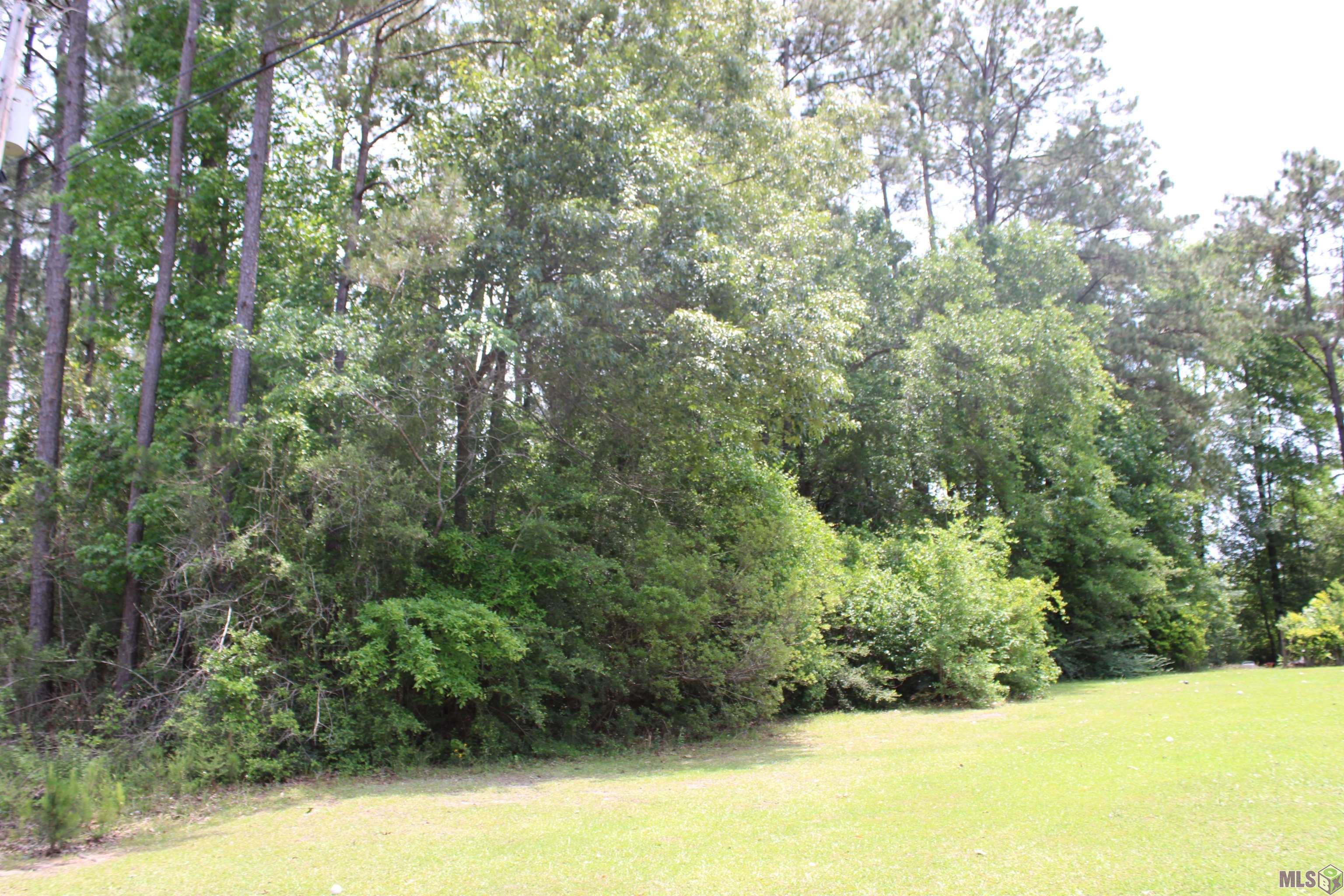 Tbd Pinewood Road Bogalusa, LA 70427 - Photo 5 of 20