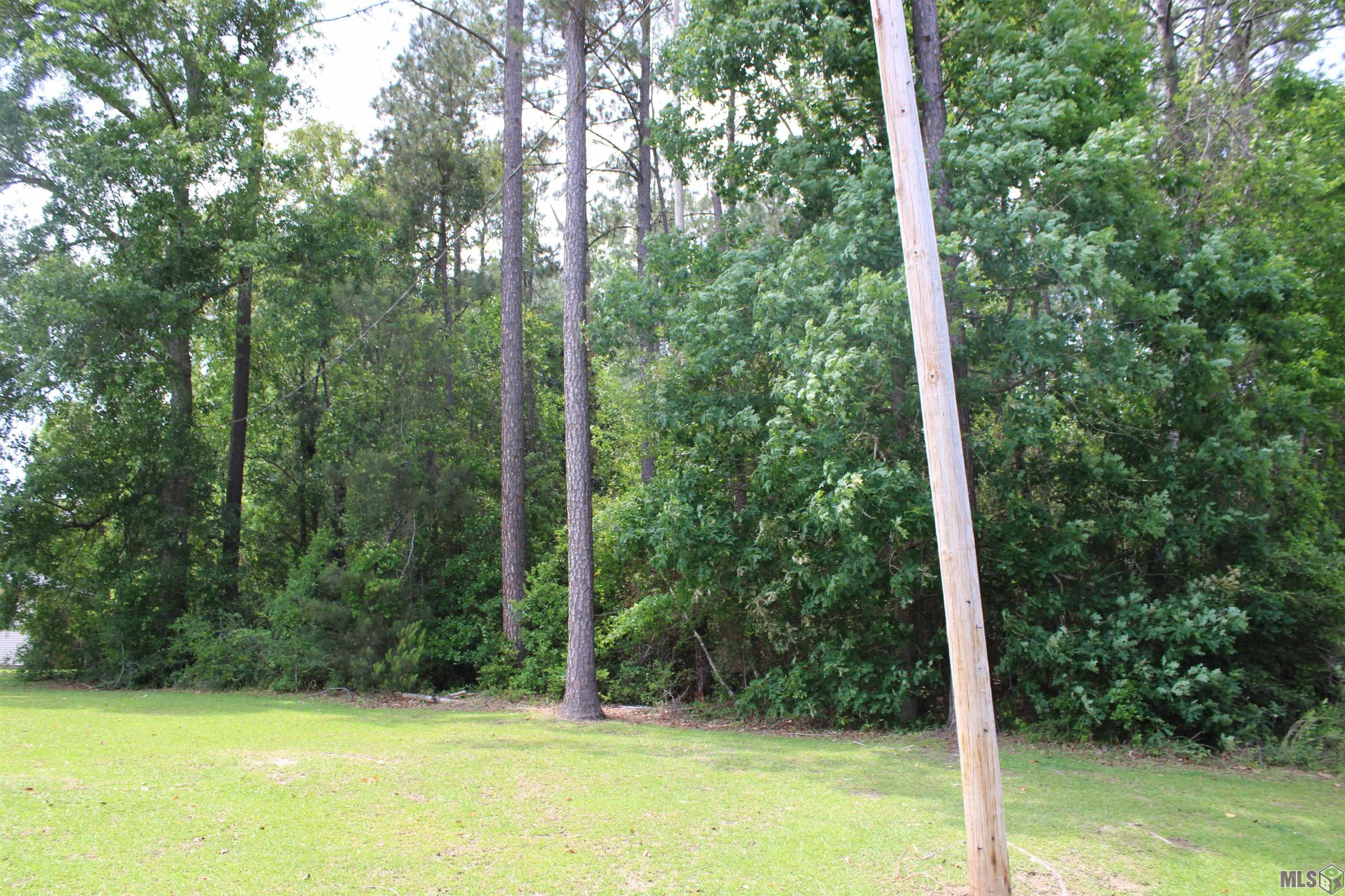 Tbd Pinewood Road Bogalusa, LA 70427 - Photo 6 of 20