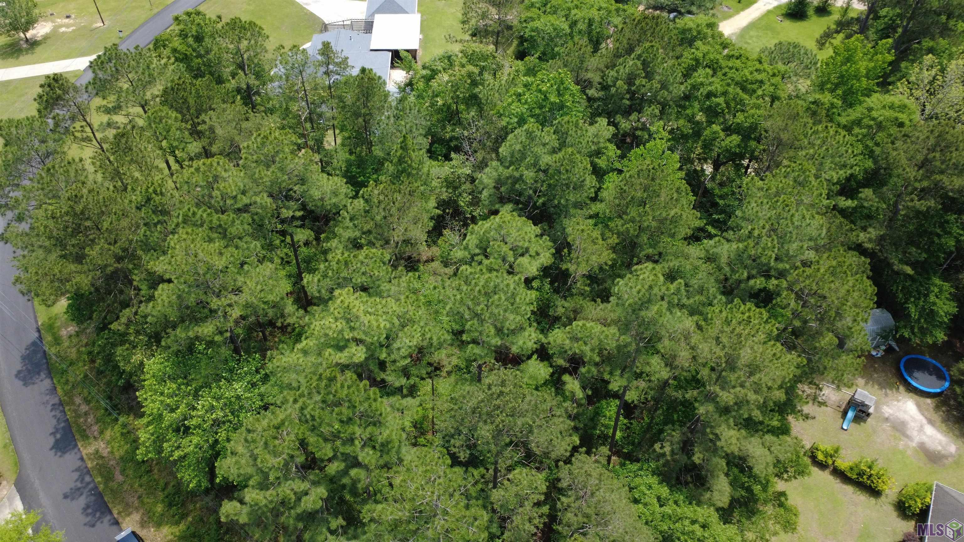 Tbd Pinewood Road Bogalusa, LA 70427 - Photo 7 of 20