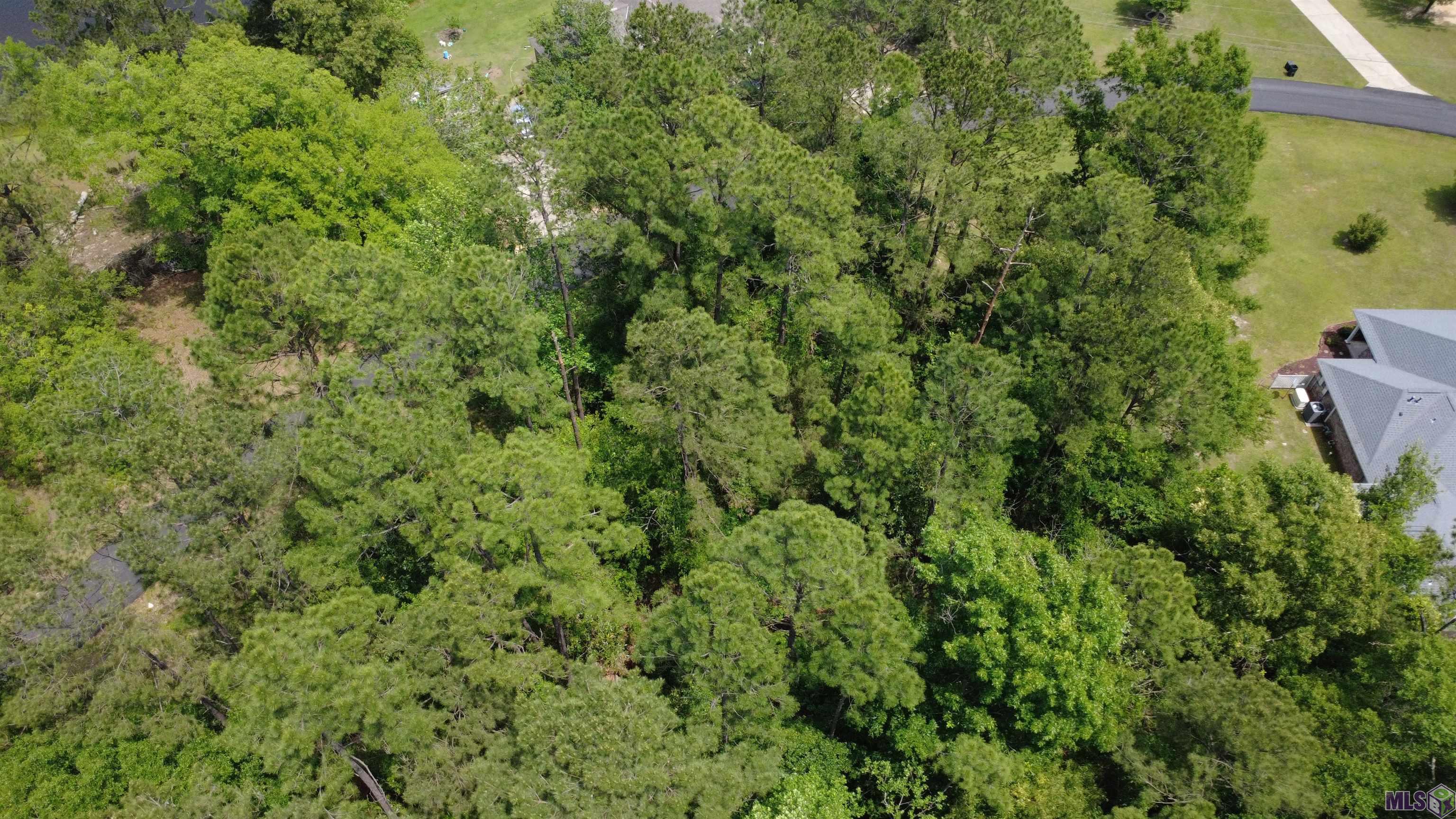 Tbd Pinewood Road Bogalusa, LA 70427 - Photo 8 of 20