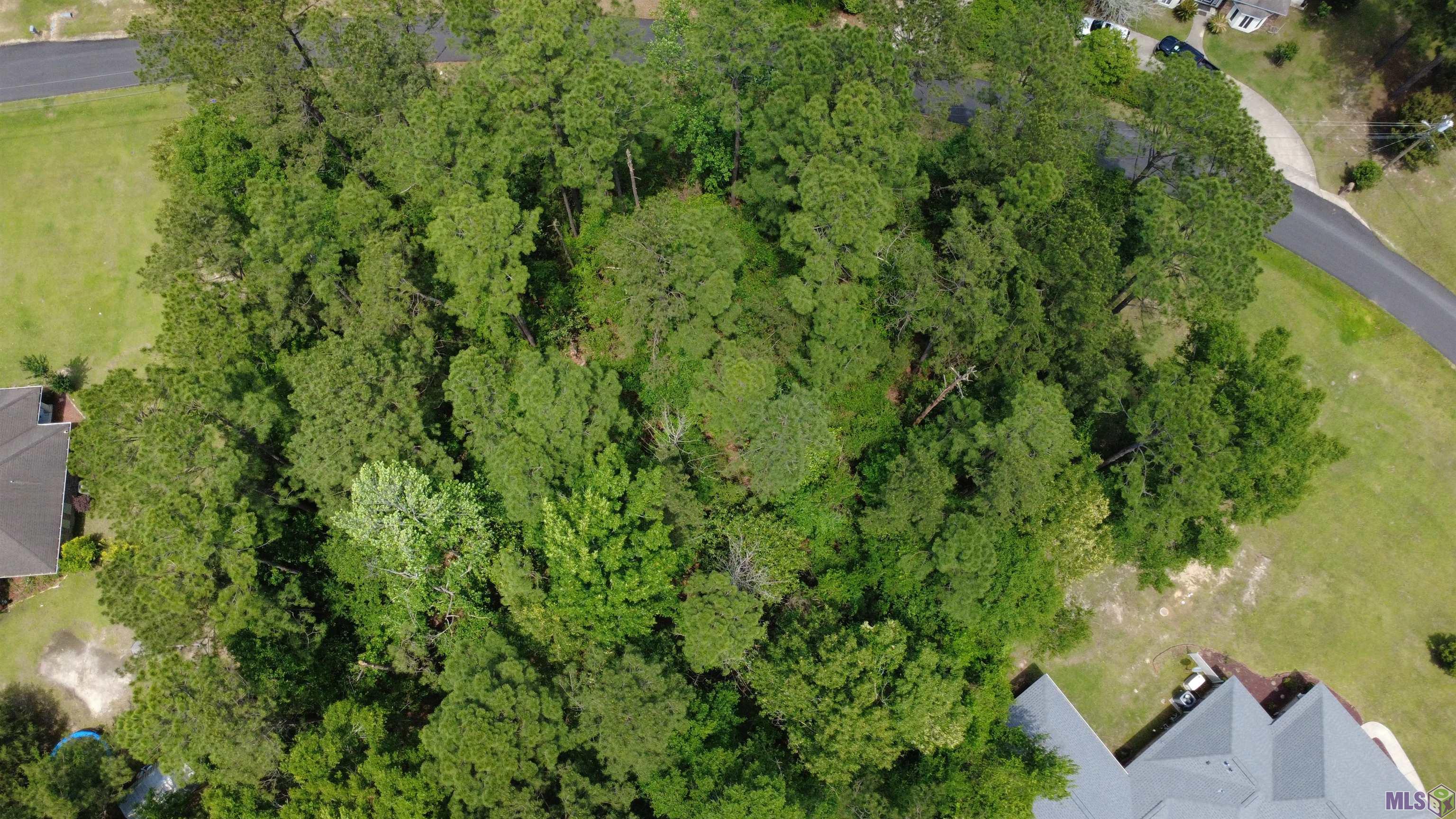 Tbd Pinewood Road Bogalusa, LA 70427 - Photo 10 of 20