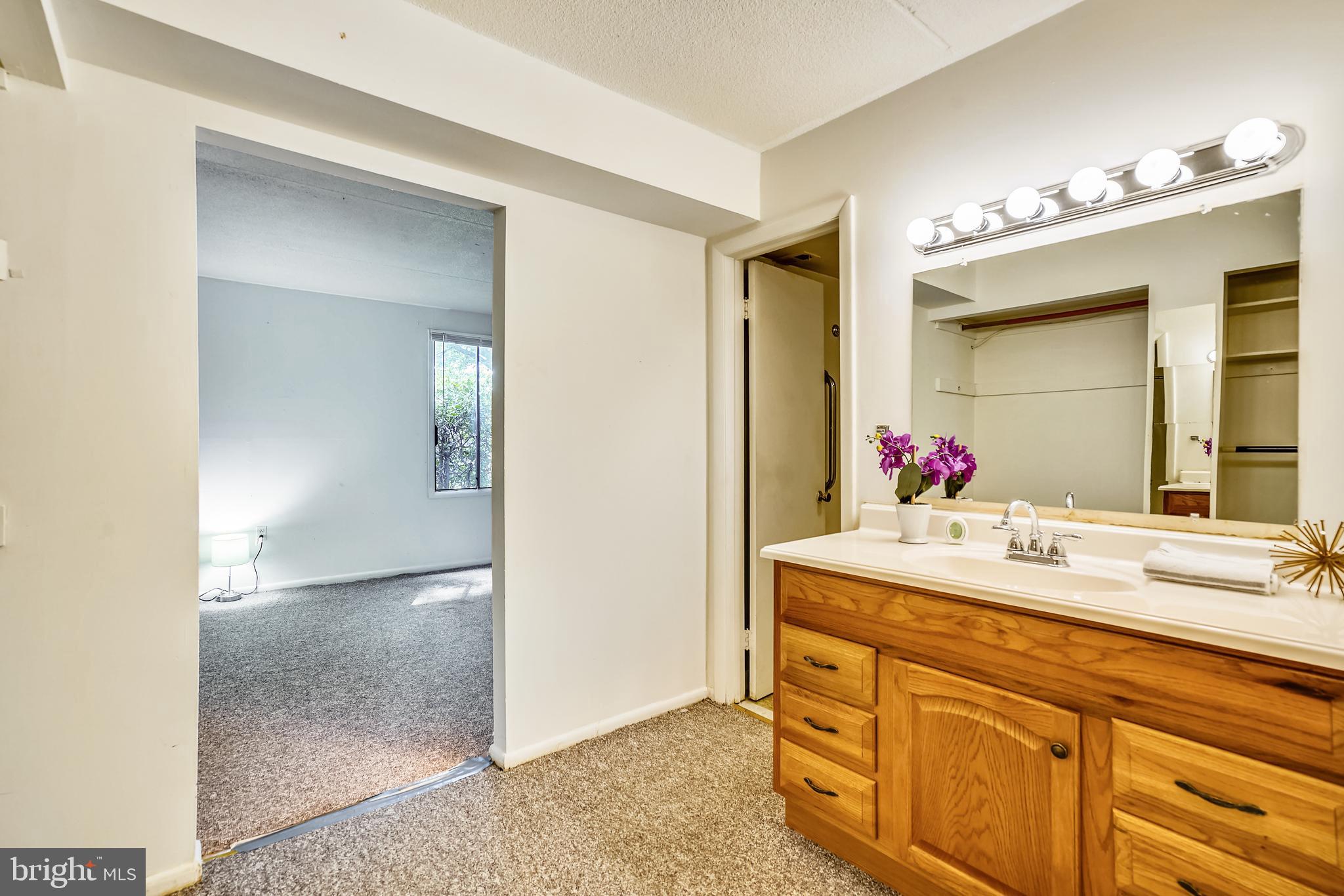 5234 West Running Brook Road, Unit 102 Columbia, MD 21044 - Photo 20 of 44 Master bath with separate vanity in dressing room