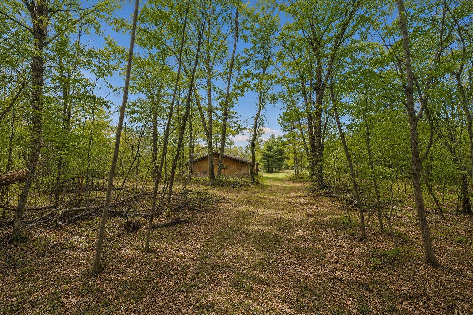 N17260 Tower Line Road Pembine, WI 54156 - Photo 9 of 20