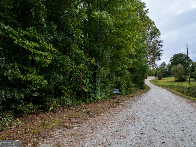 a view of a dry yard with trees